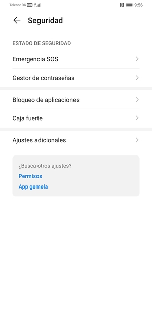 Seleccione Ajustes adicionales