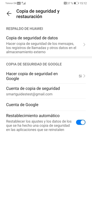 Seleccione Cuenta de copia de seguridad
