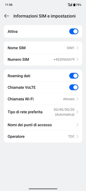 Attiva o disattiva Roaming dati