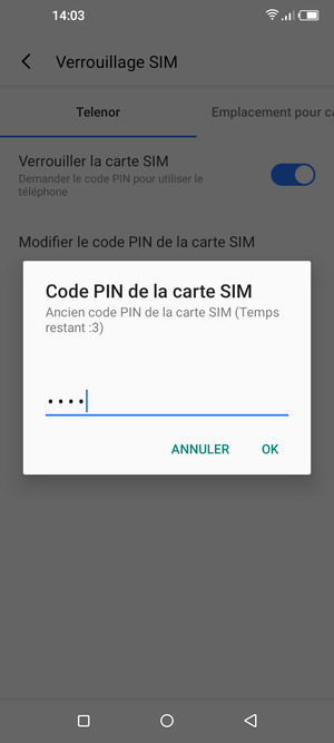 Saisissez votre Ancien code PIN de la carte SIM et sélectionnez OK