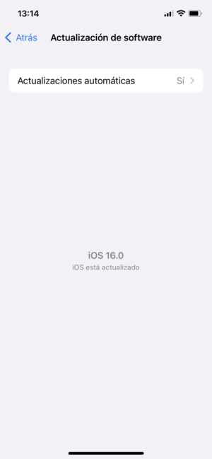 Si su iPhone está actualizado, verá la siguiente pantalla.