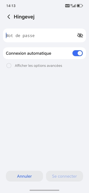 Saisissez le mot de passe du Wi-Fi et sélectionnez Se connecter
