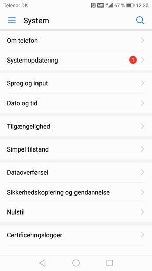 Vælg Systemopdatering