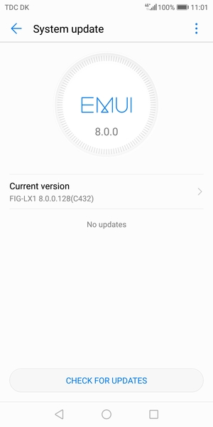 If your phone is up to date, you will see the following screen