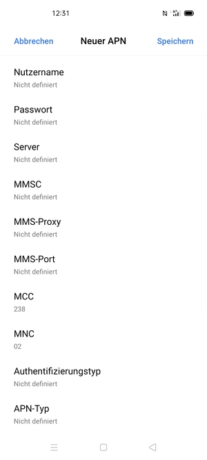 Scrollen Sie nach unten und geben Sie Internetinformationen ein