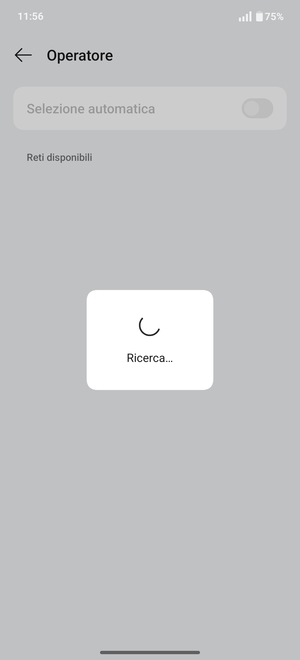 Attendi il completamento della ricerca