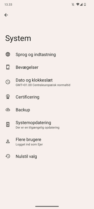 Vælg Systemopdatering