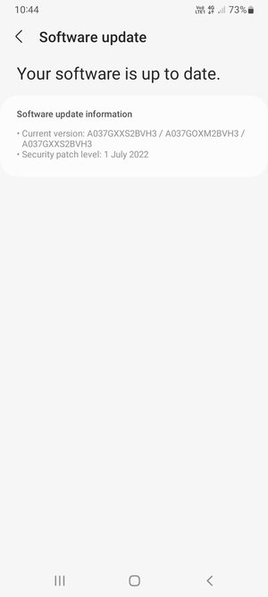 If your phone is  up to date, you will see the following screen