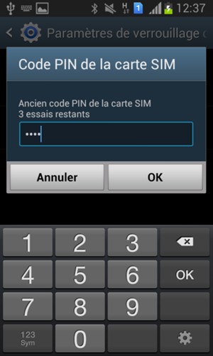 Saisissez votre Code PIN de la carte SIM et sélectionnez OK