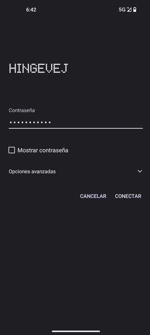 Introduzca la contraseña de Wi-Fi y seleccione CONECTAR