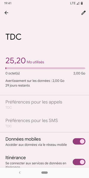 Activer ou désactiver Itinérance