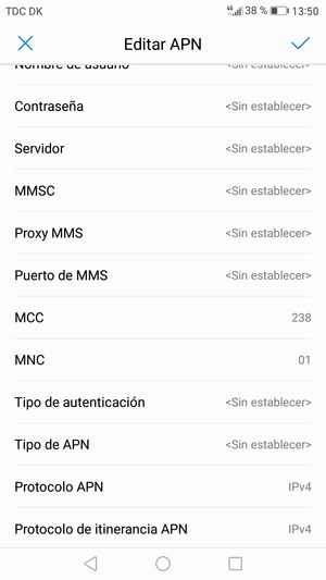 Desplácese hacia abajo e introduzca la información de Internet