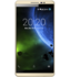 Fero Royale Y1