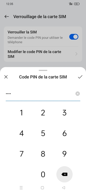 Saisissez code PIN actuel de carte SIM et sélectionnez OK