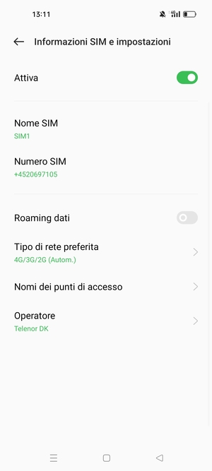 Seleziona Tipo di rete preferita
