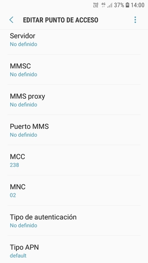 Desplácese hacia abajo e introduzca la información MMS