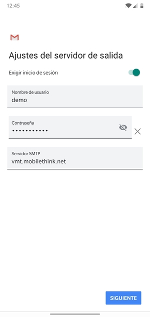 Introduzca la dirección de servidor saliente