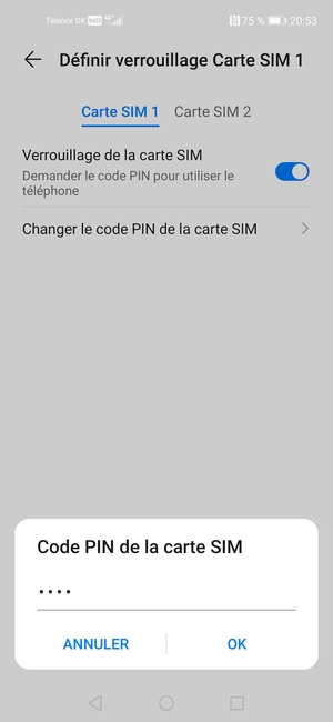 Saisissez votre Nouveau code PIN de la carte SIM et sélectionnez OK