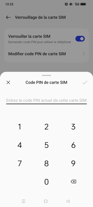 Saisissez code PIN actuel de cette carte SIM et sélectionnez OK