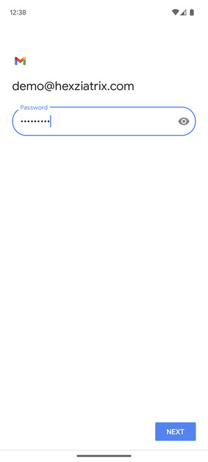 Enter your password and select NEXT