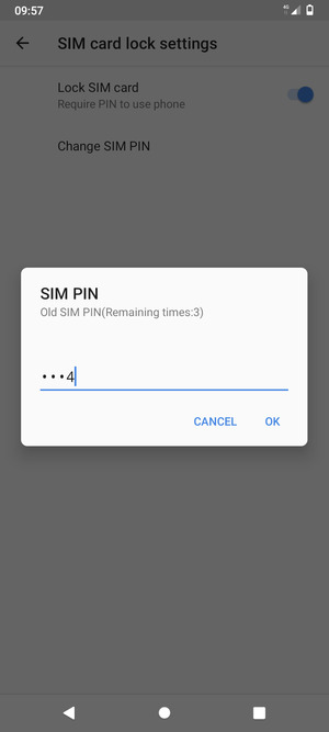 Enter your Old SIM PIN and select OK