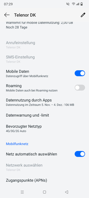 Scrollen Sie und wählen Sie Zugangspunkte (APNs)