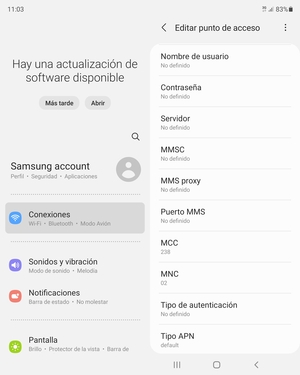 Desplácese hacia abajo e introduzca la información MMS