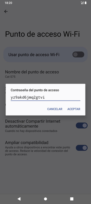 Introduzca una contraseña de punto de acceso Wi-Fi de al menos 8 caracteres y seleccione ACEPTAR