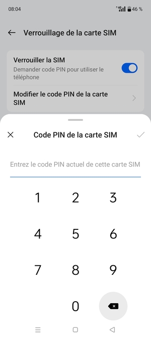 Saisissez votre Ancien code PIN de la carte SIM et sélectionnez OK