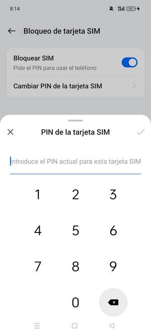 Introduzca PIN actual de la tarjeta SIM y seleccione Aceptar