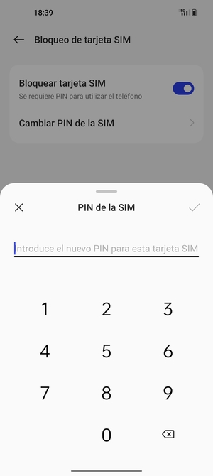 Introduzca su Nuevo PIN de tarjeta SIM y seleccione Aceptar