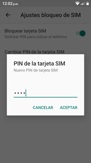 Introduzca su Nuevo PIN de tarjeta SIM y seleccione ACEPTAR