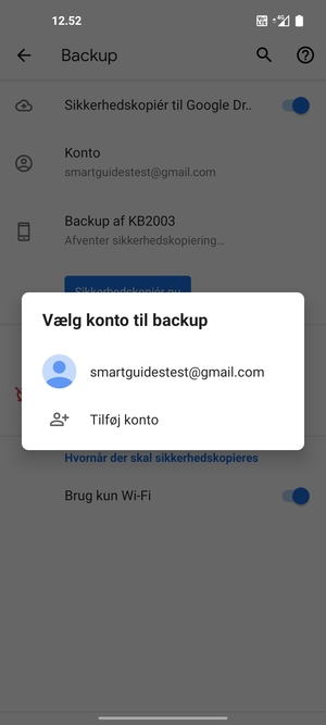 Vælg din sikkerhedskopi-konto