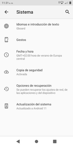 Desplácese y seleccione Actualización del sistema