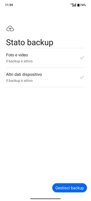 Seleziona Gestisci backup