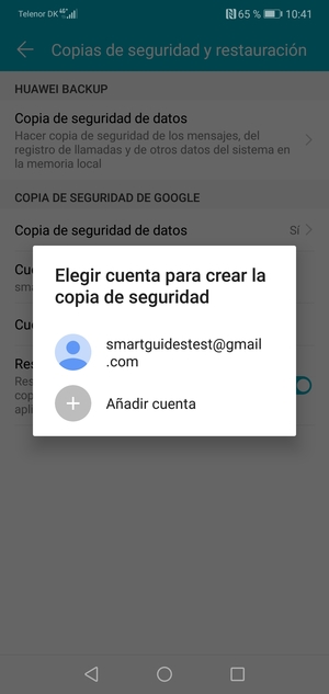 Seleccione su cuenta de copia de seguridad