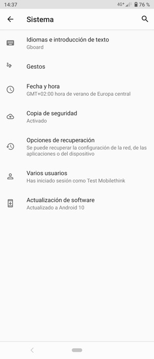 Seleccione Actualización de software