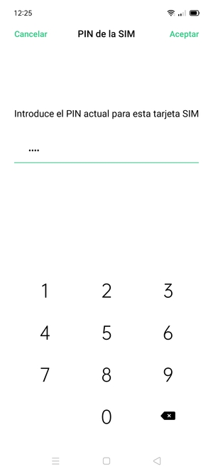 Introduzca PIN actual para esta tarjeta SIM y seleccione Aceptar