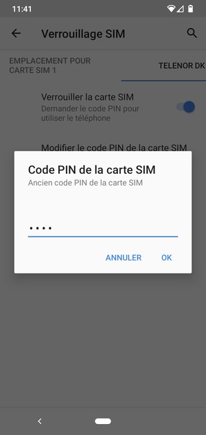 Saisissez Ancien code PIN de la carte SIM et sélectionnez OK