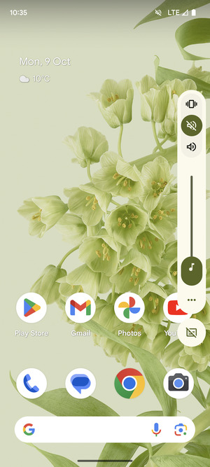 Select Mute to change to Mute mode
