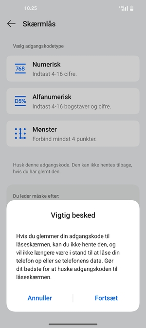 Vælg Fortsæt