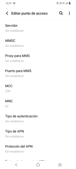 Desplácese hacia abajo e introduzca la información de Internet