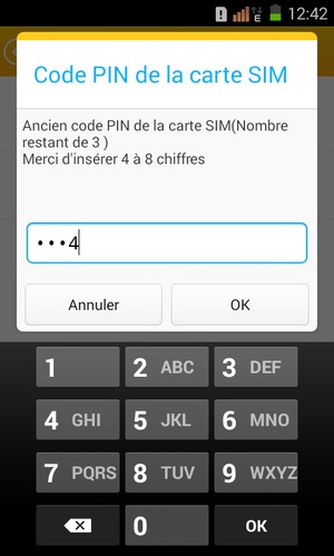 Saisissez votre Ancien code PIN de la carte SIM et sélectionnez OK