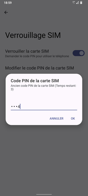 Saisissez Ancien code PIN de la carte SIM et sélectionnez OK