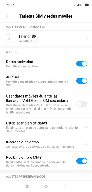 Seleccione Itinerancia de datos