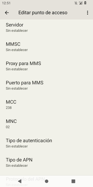Desplácese hacia abajo e introduzca la información de Internet