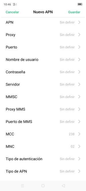 Desplácese hacia abajo e introduzca la información de Internet