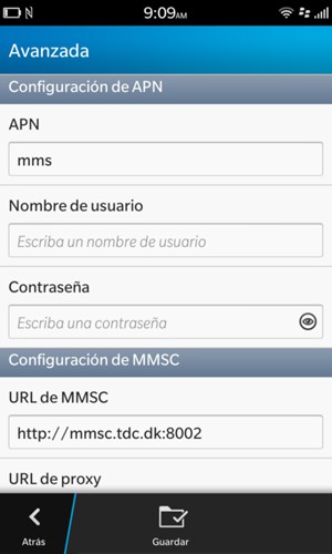 Introduzca la información MMS