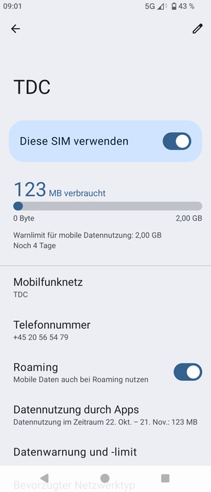 Schalten Sie Roaming an oder aus