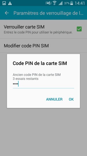 Saisissez votre Ancien code PIN de la carte SIM et sélectionnez OK